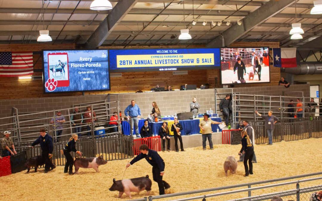 CFISD Exhibit Center Video Wall