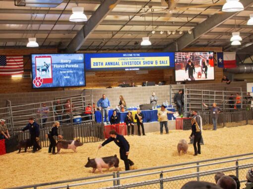 CFISD Exhibit Center Video Wall